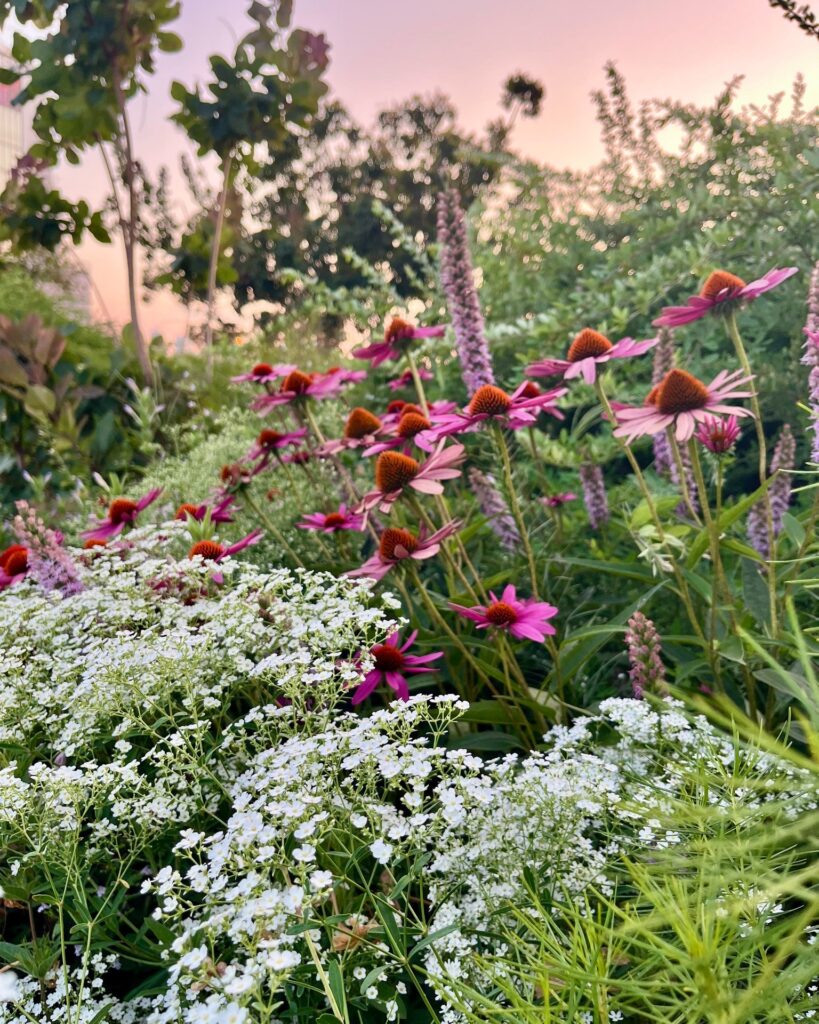 530857044_1209470434548345_9189258291690286405_n