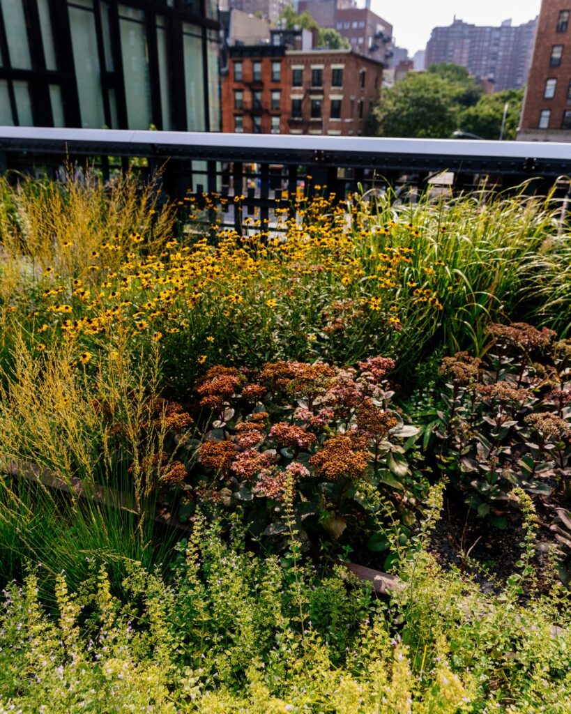 532916307_1212061190955936_5279125657381169422_n