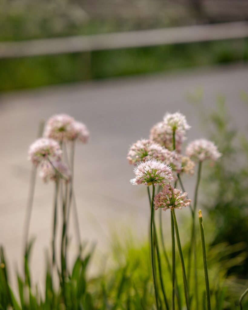 536626008_1215260863969302_4044086882448659873_n