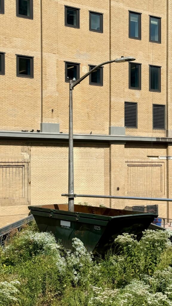 539495384_18525661651033665_5029990274162868174_n