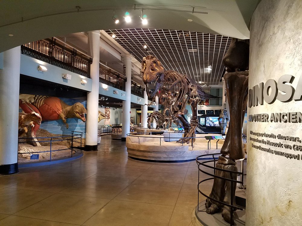 dinosaur-exhibit.jpg